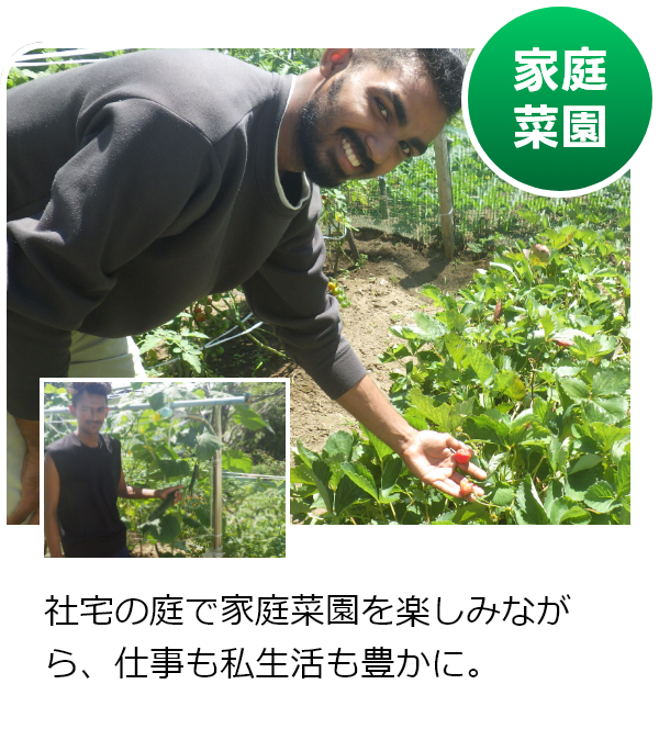 【家庭菜園】社宅の庭で家庭菜園を楽しみながら、仕事も私生活も豊かに。